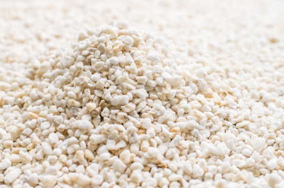 Was ist der Unterschied zwischen Vermiculite und Perlite?