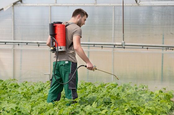 Wie benutzt man eine Rückenspritze im Gartenbau?