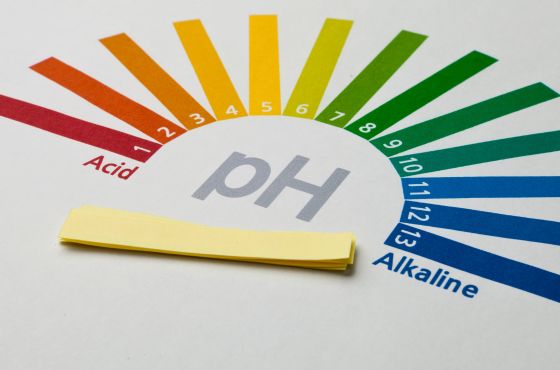 pH-Streifen zur Messung des pH-Werts