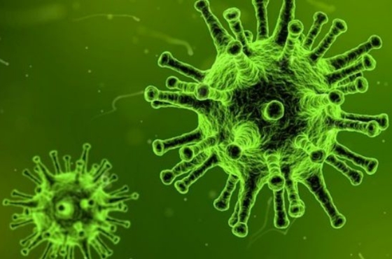Was ist der Unterschied zwischen Bakterien und Viren?