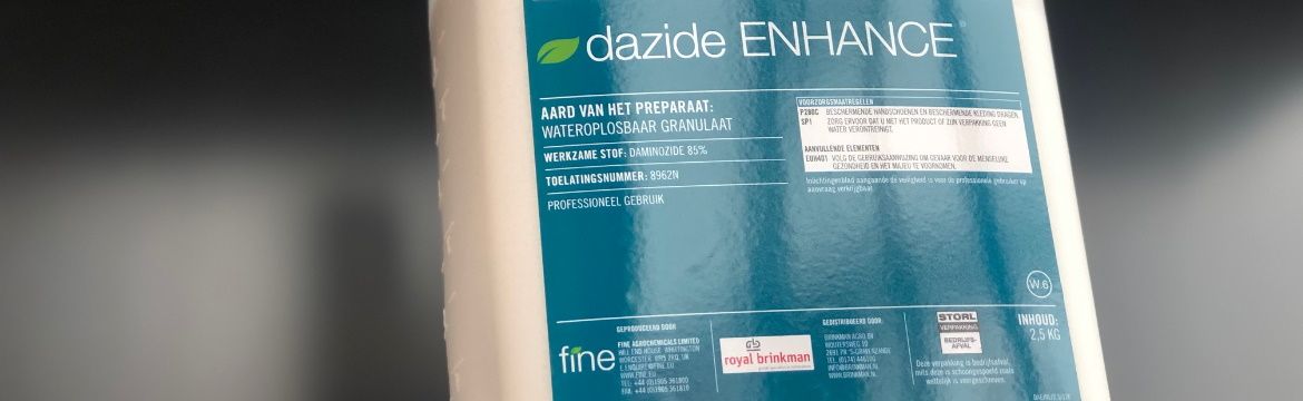 Dazide Enhance