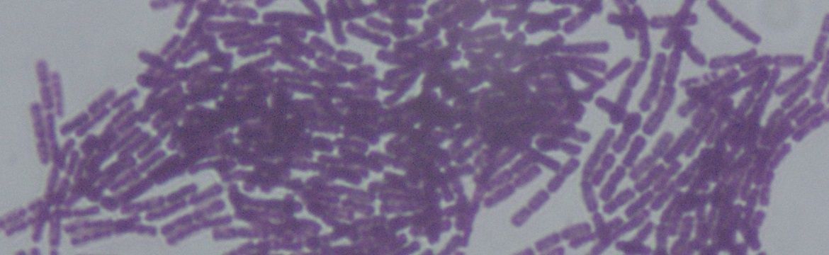 Bacillus thuringiensis als Nützling