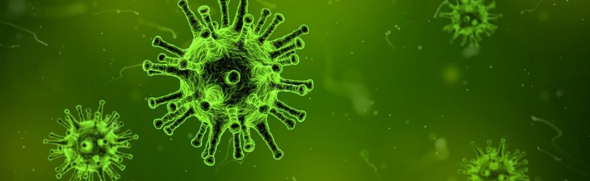 Unterscheid bakterien und viren