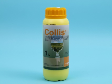Collis Fungizid 1 Liter