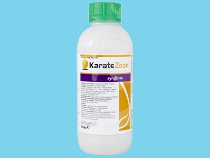 Karate Zeon 1 Liter