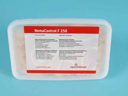 NEMAcontrol feltiae (gel)  [1 mlrd]