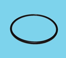 Espa O-Ring Filterabdeckung für Silen (ab Modell 2007)