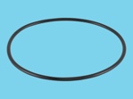 O-Ring für UdiMatic Filterelement 1,5"-4"