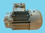 Getriebemotor URK/DR (3x600V, 60Hz)