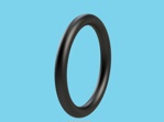 O -Ring 108 x 5mm