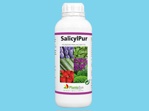 SalicylPur 1 ltr DE