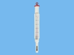 Thermometer in PVC Halterung 0/ 50
