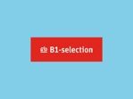 B1 Selection sticker 70x20mm rood